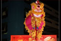 Tiger Beer CNY Celebrations Tiger Beer CNY Celebrations